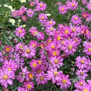 Meet your Posher, Kari